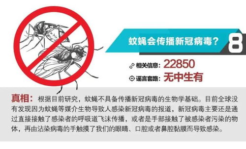 預(yù)包裝食品與新冠病毒傳播 風(fēng)險(xiǎn)分析與科學(xué)防護(hù)